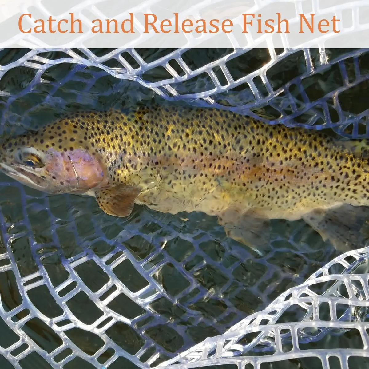 Wooden Frame Fly Fishing Landing Net With Rubber Mesh