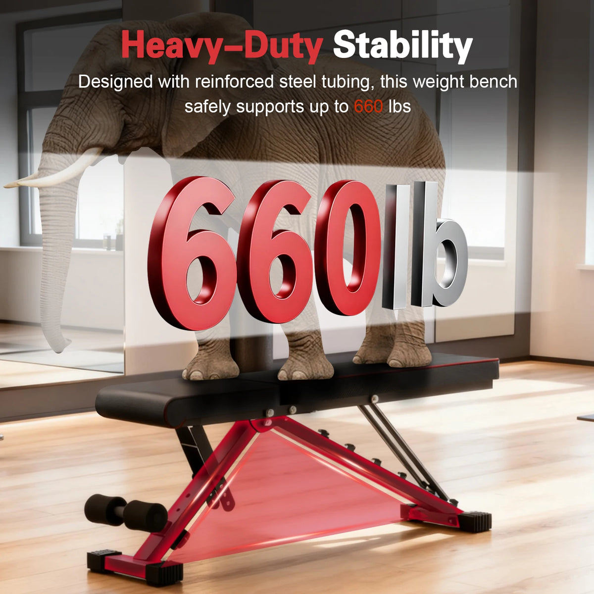 Multifunctional Adjustable Foldable Weight Bench